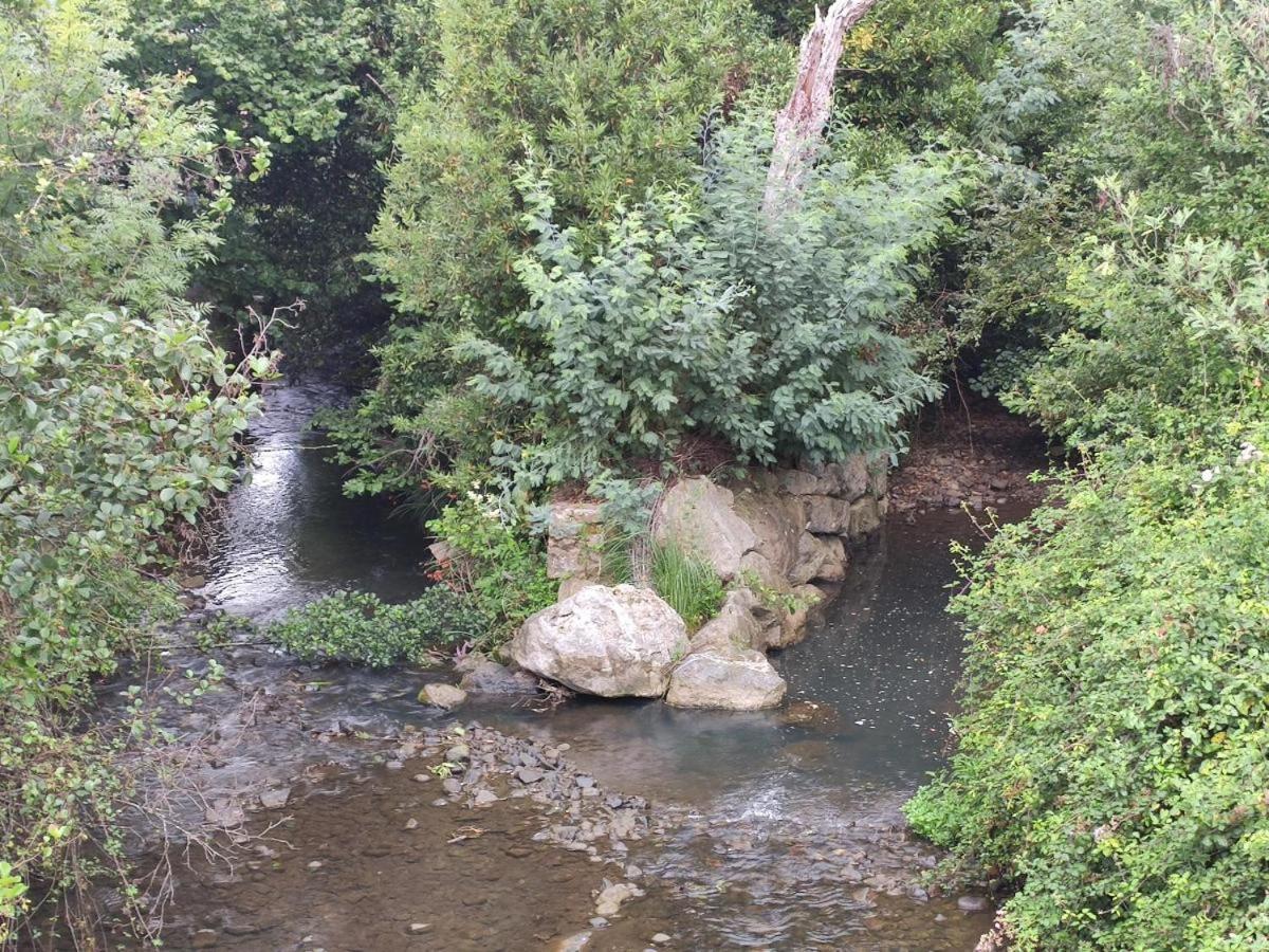 Hosteria Senorio De Bizkaia バキオ エクステリア 写真